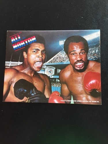 Programme boxing world cup - programme,